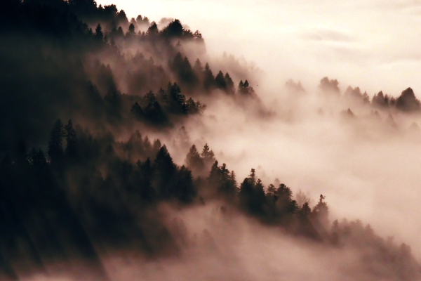 Kaskada Chmur (流霞, Cascading Cloud)